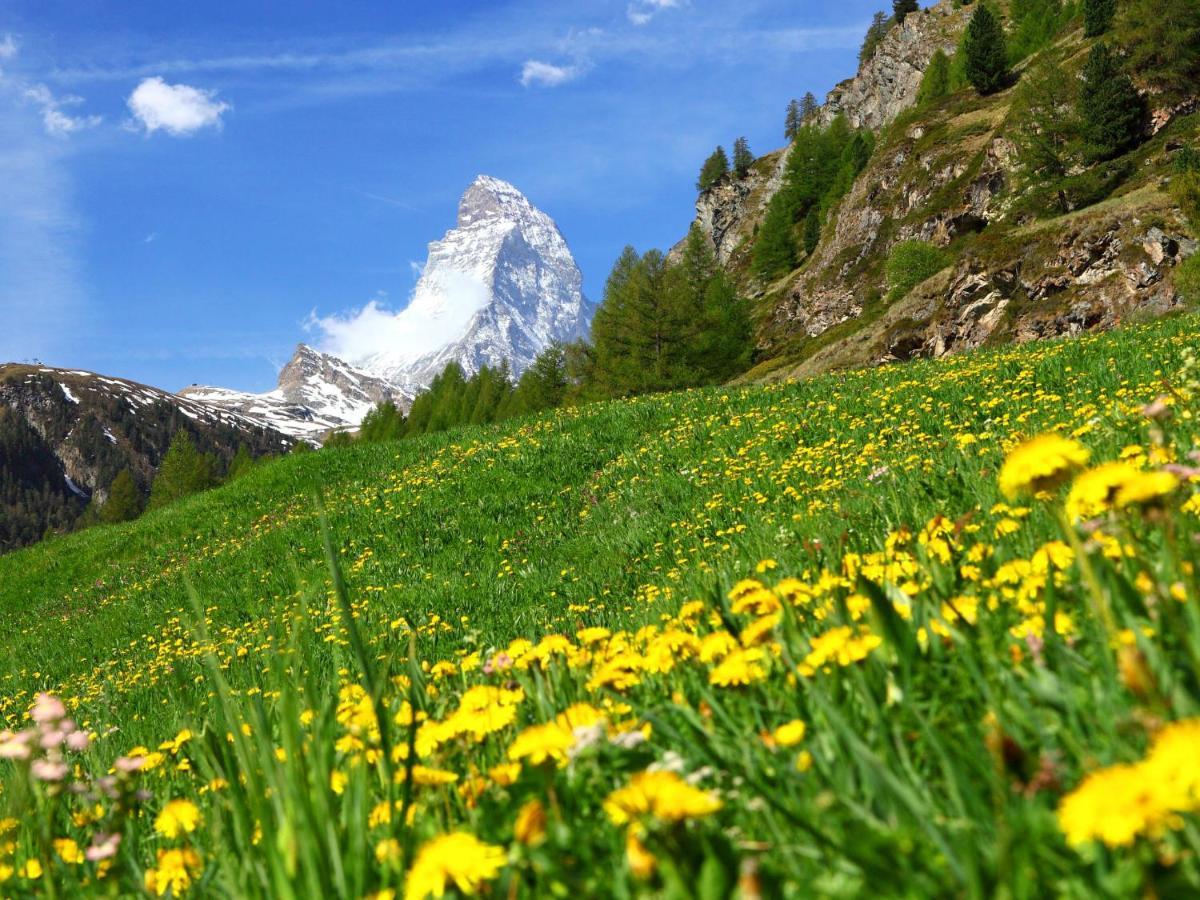Apartment Breithorn By Interhome Церматт Экстерьер фото
